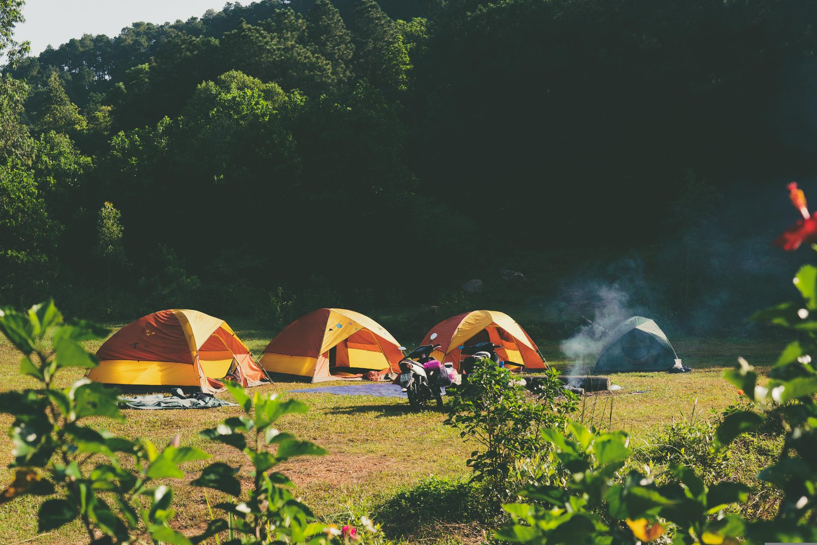 Three tents in a field